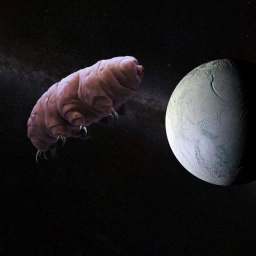 Tardigrade in Space